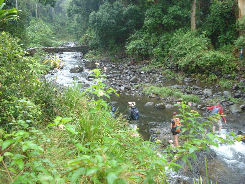 Christmas Creek Cafe & Cabins Lamington ภายนอก รูปภาพ