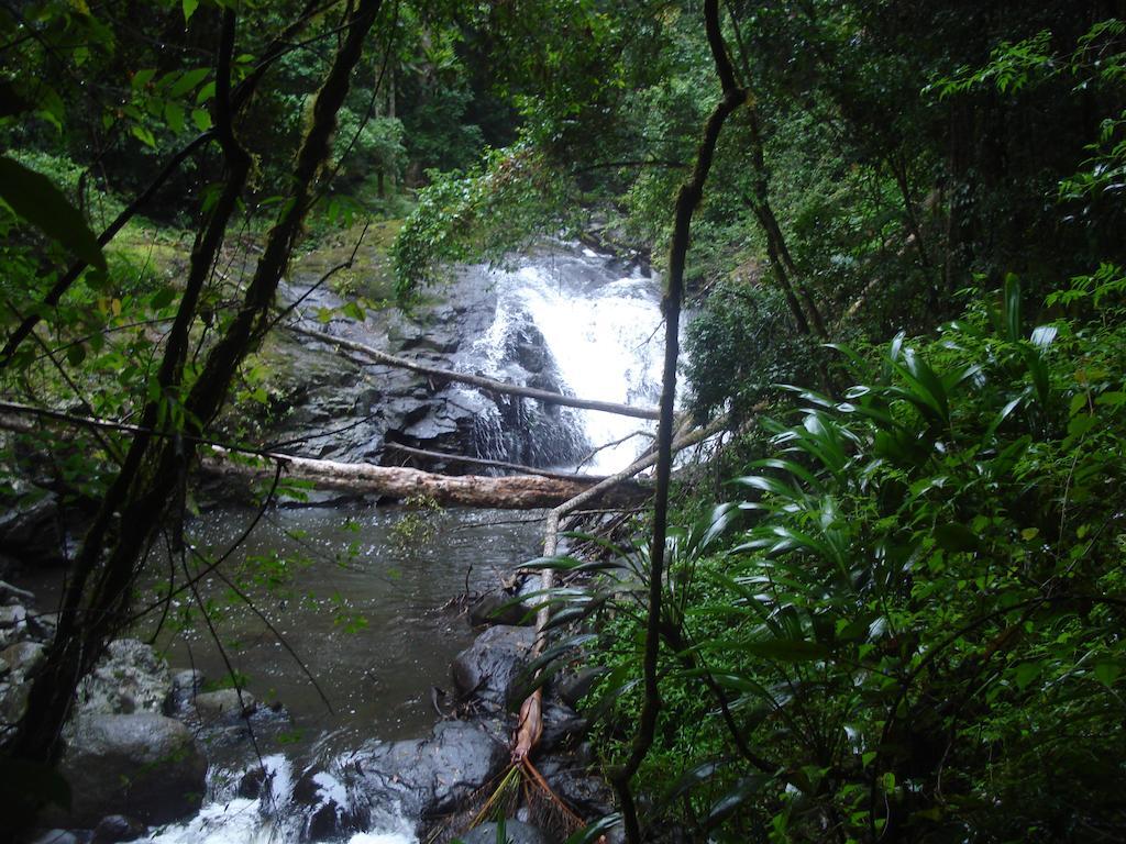 Christmas Creek Cafe & Cabins Lamington ภายนอก รูปภาพ