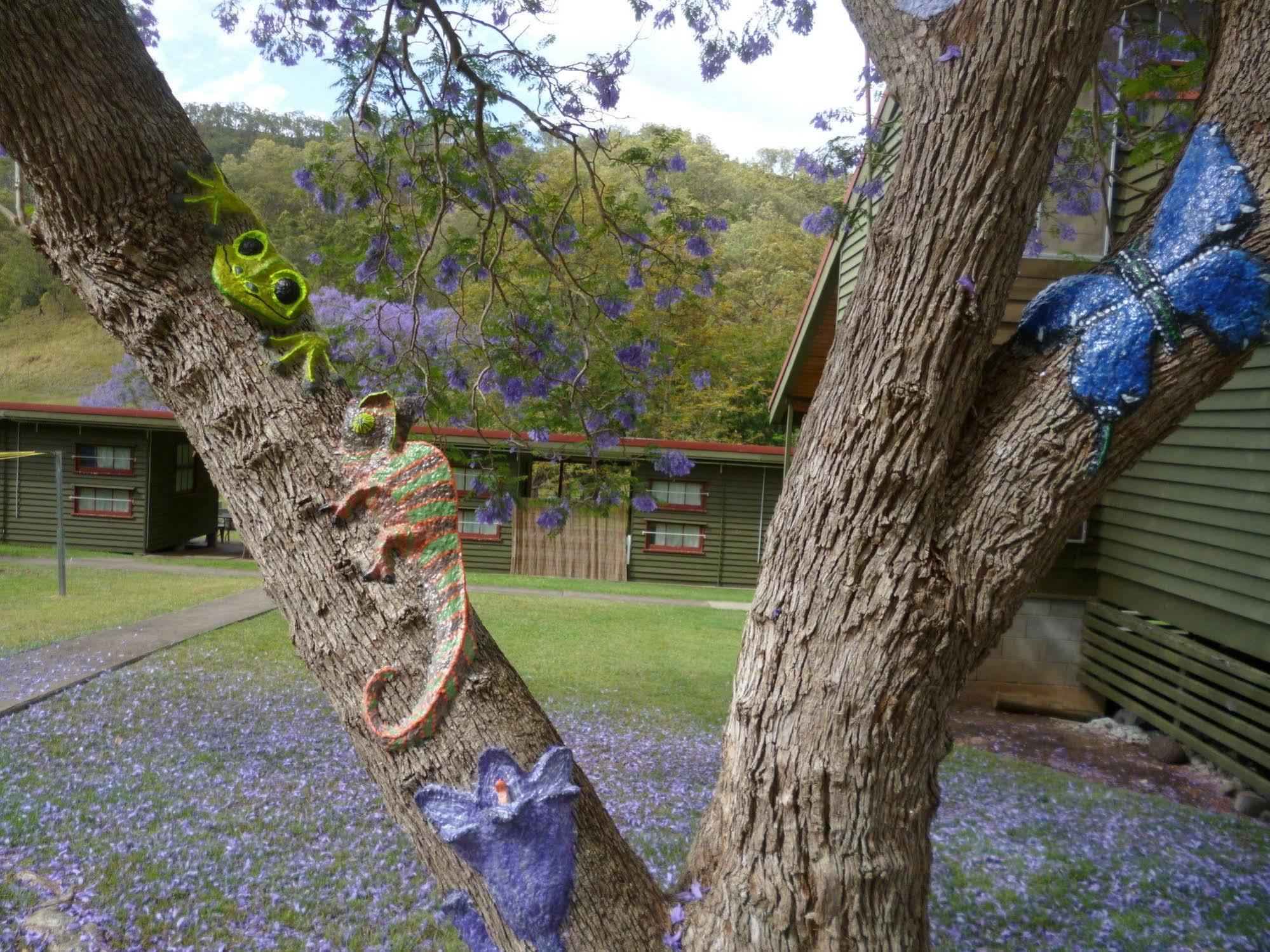 Christmas Creek Cafe & Cabins Lamington ภายนอก รูปภาพ